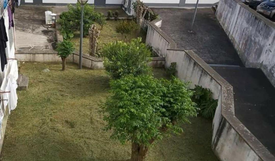 Apartamento Orquidea Понта-Делгада Экстерьер фото