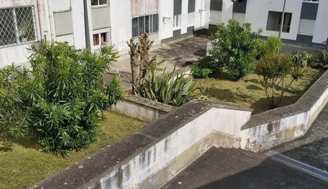 Apartamento Orquidea Понта-Делгада Экстерьер фото